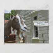 サンドバーグコンネマラファームヤギ乳製品の写真 ポストカード (正面)