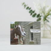 サンドバーグコンネマラファームヤギ乳製品の写真 ポストカード (スタンド正面)