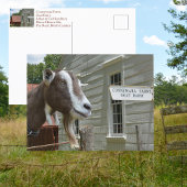 サンドバーグコンネマラファームヤギ乳製品の写真 ポストカード