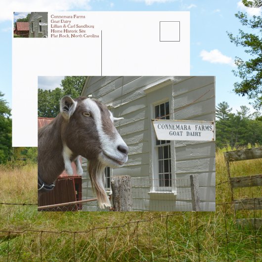 サンドバーグコンネマラファームヤギ乳製品の写真 ポストカード