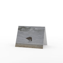 サンドパイパーの弓