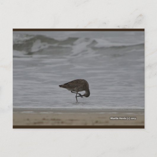 サンドパイパーの弓 | ブルービーチソング™はがき ポストカード (正面)