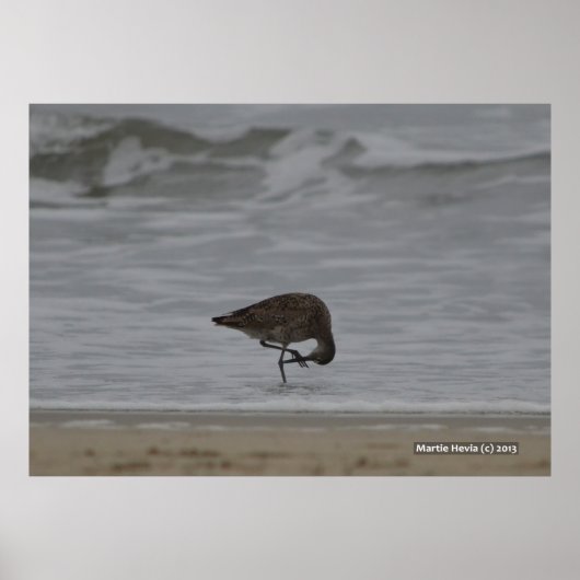 サンドパイパーの弓 ポスター (正面)