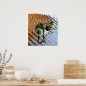 サンドパイパーアットザビーチ ポスター (キッチン)