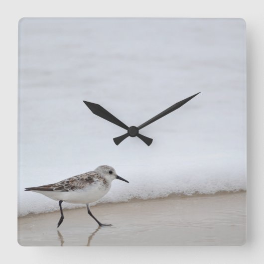 サンドパイパーショアバードビーチハウススクエアウォールクロック スクエア壁時計 (正面)