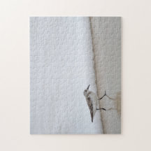 サンドパイパーショアバードビーチハウス