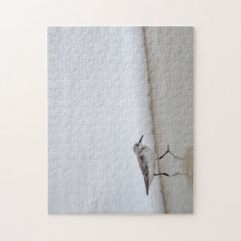 サンドパイパーショアバードビーチハウス ジグソーパズル