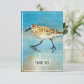 サンドパイパーショアバード沿岸ビーチサンキューカード サンキューカード (スタンド正面)