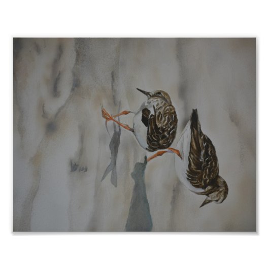 サンドパイパーズバードアート再生写真プリント フォトプリント            (正面)