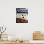 サンドパイパーポスター ポスター (キッチン)