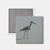 サンドパイパーポーズ マグネット (正面/裏面)