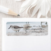 サンドパイパー差出人住所ラベル ラベル (インサイチュ)