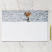 サンドパイパー鳥の写真文房具の大きなノートパッド ペーパーパッド (インサイチュ)