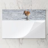 サンドパイパー鳥の写真文房具の大きなノートパッド ペーパーパッド (折り畳み)