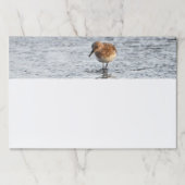 サンドパイパー鳥の写真文房具の大きなノートパッド ペーパーパッド (正面)