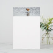 サンドパイパー鳥写真文房具紙 便箋 (スタンド正面)