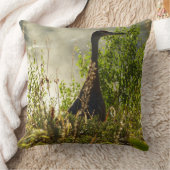 サンドヒルクレインアットムースポンズイングランドテトン クッション (ブランケット)