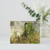 サンドヒルクレインアットムースポンズイングランドテトン ポストカード (スタンド正面)