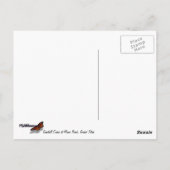 サンドヒルクレインアットムースポンズイングランドテトン ポストカード (裏面)