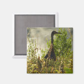 サンドヒルクレインアットムースポンズイングランドテトン マグネット (正面/裏面)