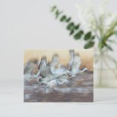 サンドヒルクレーンからリフト ポストカード (スタンド正面)