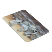 サンドヒルクレーンからリフト マグネット (右側)