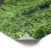 サンドヒルクレーンのポスター ポスター (角)