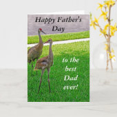 サンドヒルクレーンズ – 父の日 – 誕生日 カード (黄色い花)