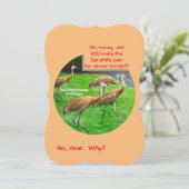 サンドヒルクレーンファミリー/サンキューカードフラットカード (スタンド正面)