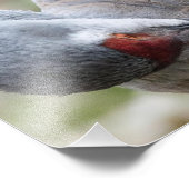 サンドヒルクレーンプレーニングプリントのクローズアップ フォトプリント            (角)