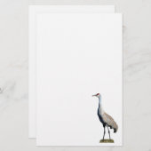 サンドヒルクレーン写真レターヘッド紙 便箋 (正面/裏面)