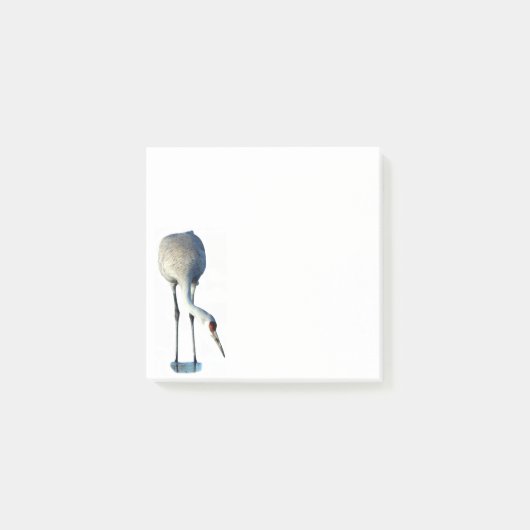 サンドヒルクレーン写真文房具3x3ポストイットノート ポストイット (正面)