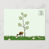 サンドヒルクレーン子馬(ヒック) ポストカード (裏面)