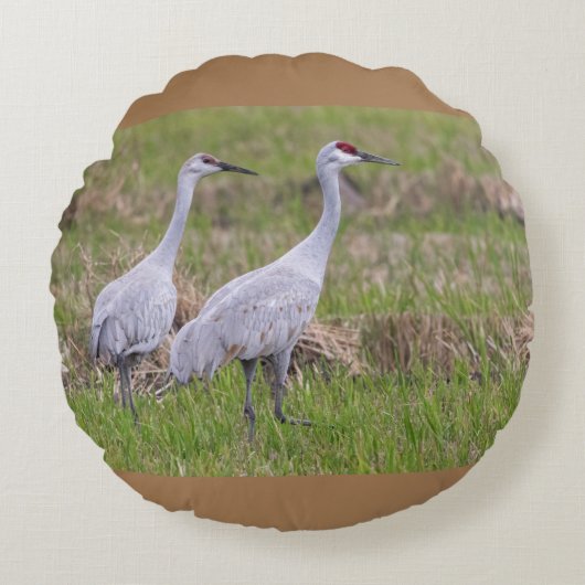 サンドヒルクレーン枕 ラウンドクッション (正面)