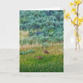 サンドヒルクレーン カード (黄色い花)