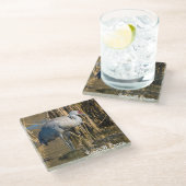 サンドヒルクレーン ガラスコースター (アングル)