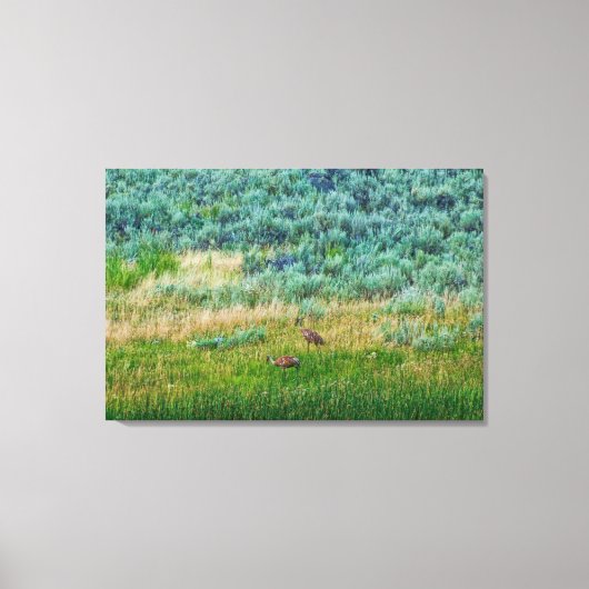 サンドヒルクレーン キャンバスプリント (正面)