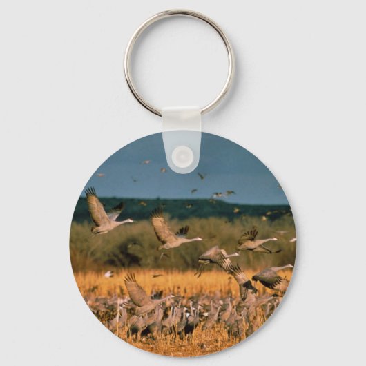 サンドヒルクレーン キーホルダー (正面)