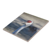 サンドヒルクレーン タイル (側面)