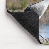 サンドヒルクレーン マウスパッド (コーナー)