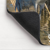 サンドヒルクレーン マウスパッド (コーナー)