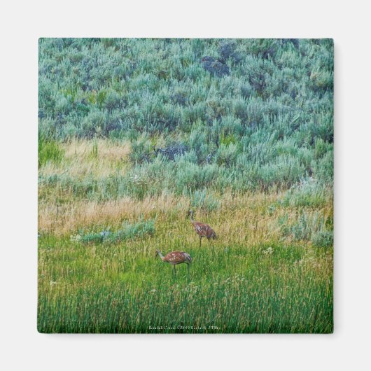 サンドヒルクレーン マグネット (正面)