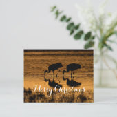 サンドヒルクレーン、メリークリスマス シーズンポストカード (スタンド正面)