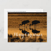 サンドヒルクレーン、メリークリスマス シーズンポストカード (正面/裏面)