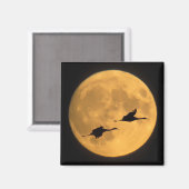 サンドヒルクレーン |国立野生生物保護区 マグネット (正面/裏面)