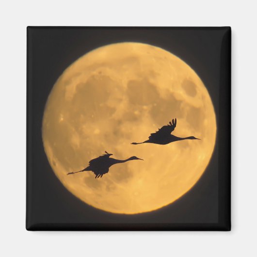 サンドヒルクレーン |国立野生生物保護区 マグネット (正面)