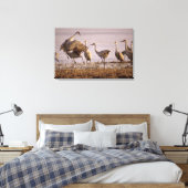 サンドヒルクレーンGrus canadensis)プラット キャンバスプリント (インサイチュ (寝室))