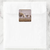 サンドヒルクレーンGrus canadensis)プラット スクエアシール (バッグ)