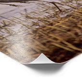 サンドヒルクレーンGrus canadensis)プラット フォトプリント (角)