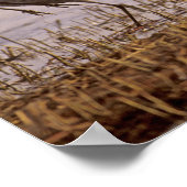 サンドヒルクレーンGrus canadensis)プラット ポスター (角)